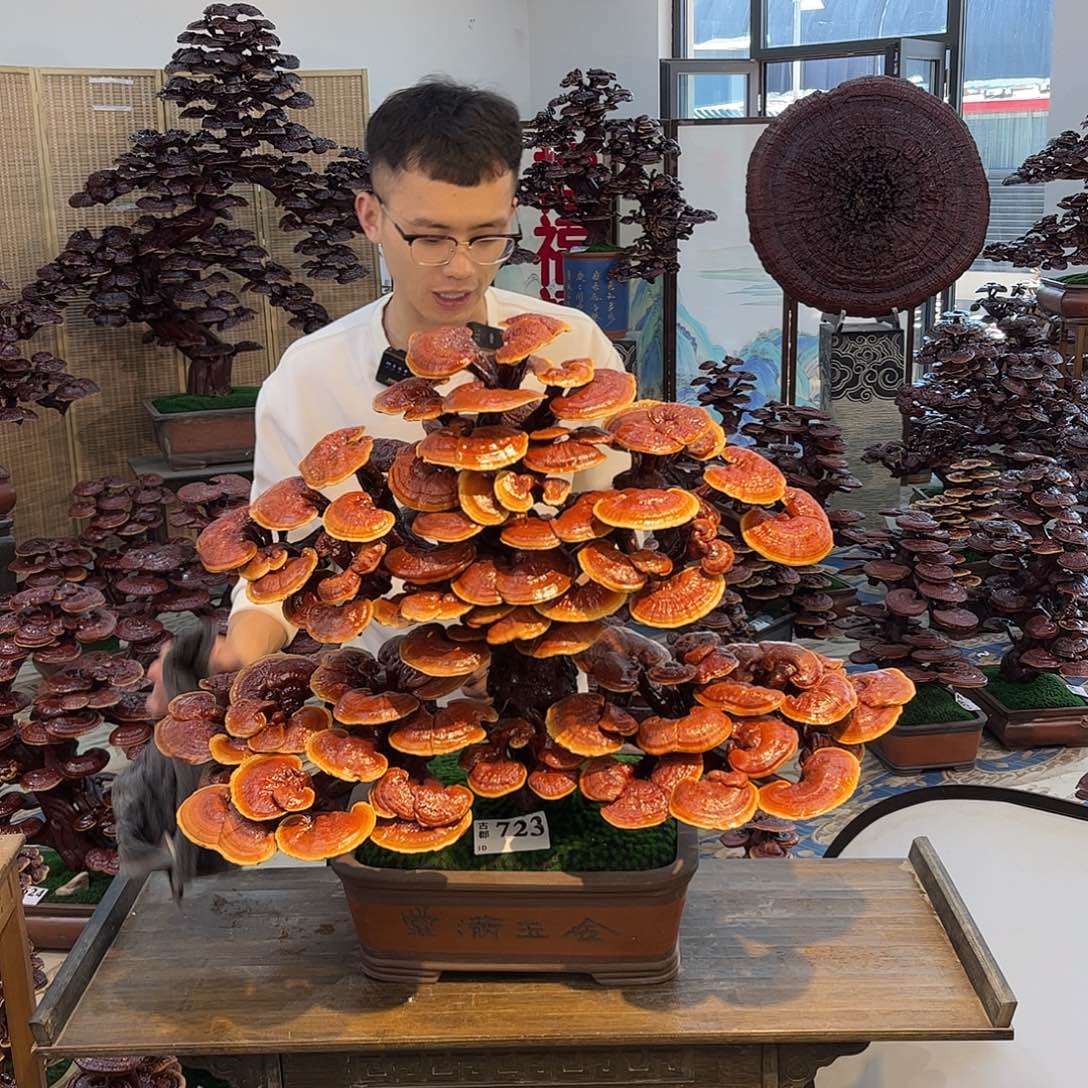 88888888888888888888