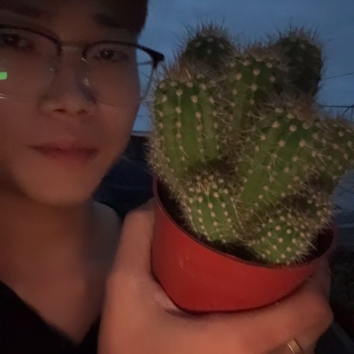 无***人无花朵红星哈哈哈哈哈哈