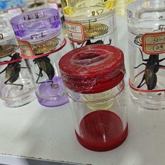 蟋蟀本叫老谭罐60/100