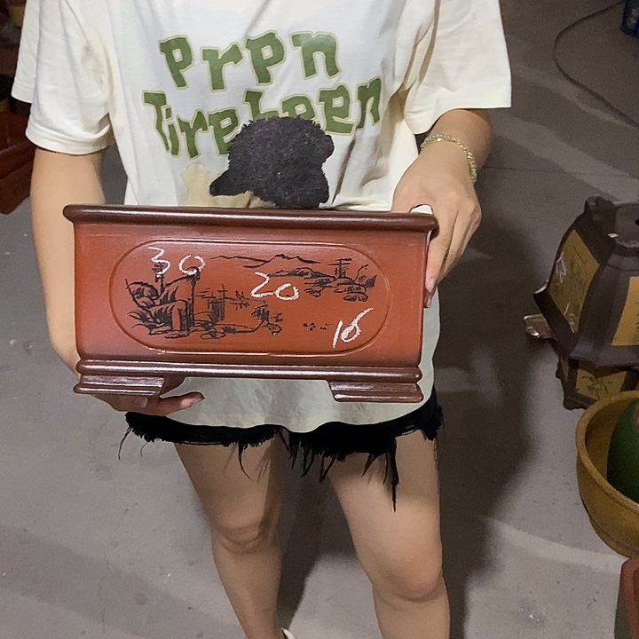 紫砂花盆紫砂花盆