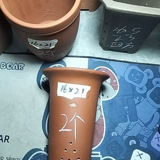 小红兰花两个微瑕