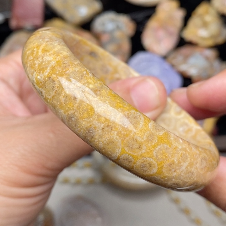 硅化珊瑚（珊瑚玉）手镯未镶嵌55.8