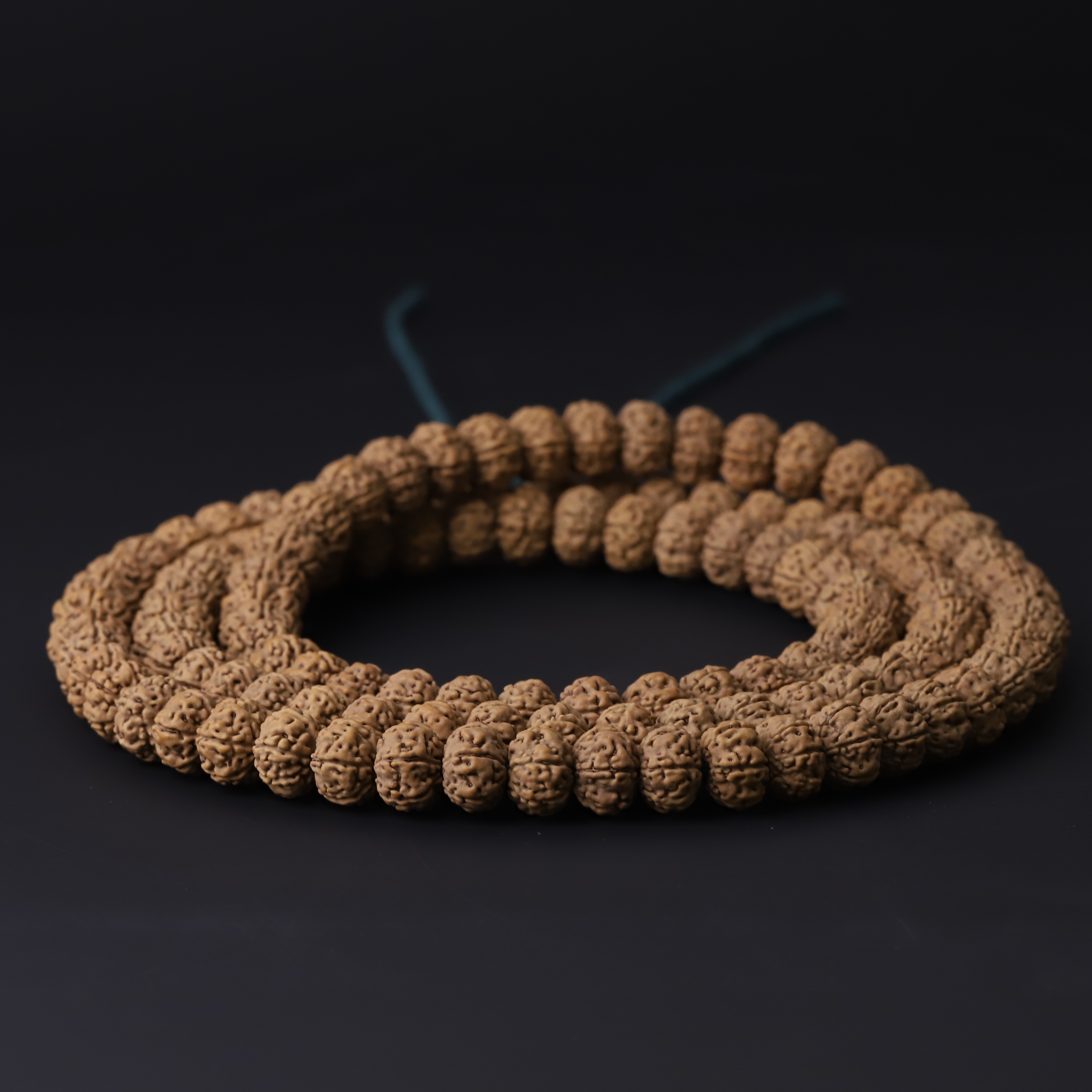 251206【六瓣飞碟树王】精配南瓜双龙纹小金刚菩提108文玩长串