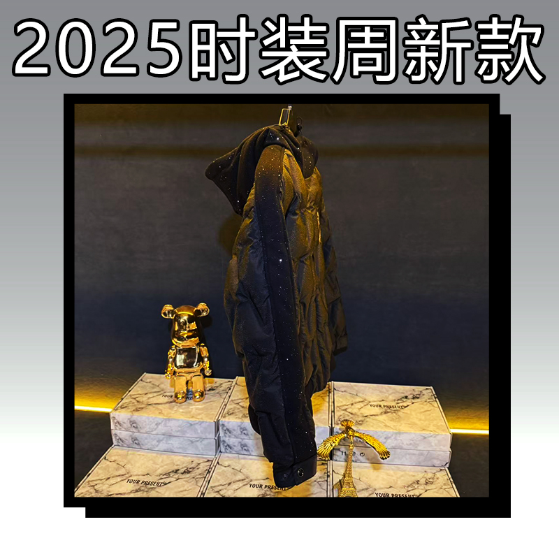 B【25830】保暖男款羽绒服冬季2025新款潮轻奢白鸭绒厚款立领外套