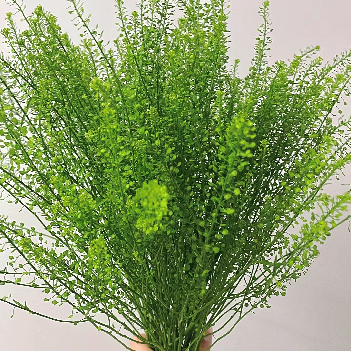 顺顺 绿林草鲜花配草 拍2单升级快递已发货不支持退款