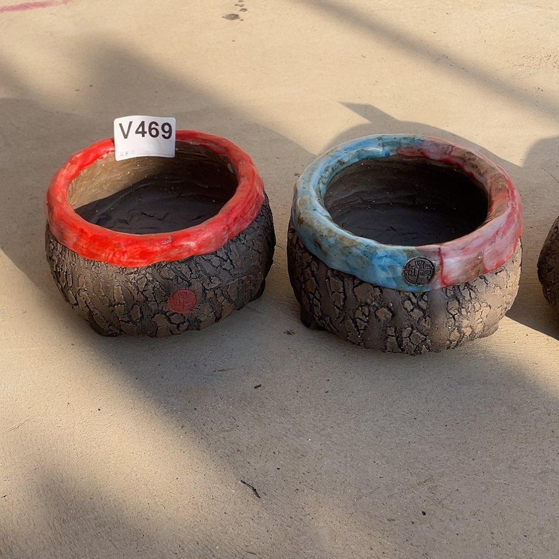 1***0坛子姐花盆 孤品中包子