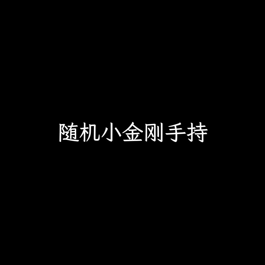 随机小金刚手持