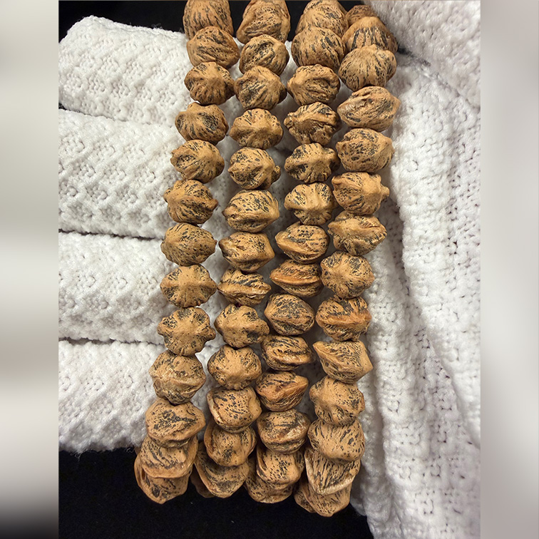 原桩百香籽手串横打西藏热振皮质细腻玉化高油高密柏香籽手串