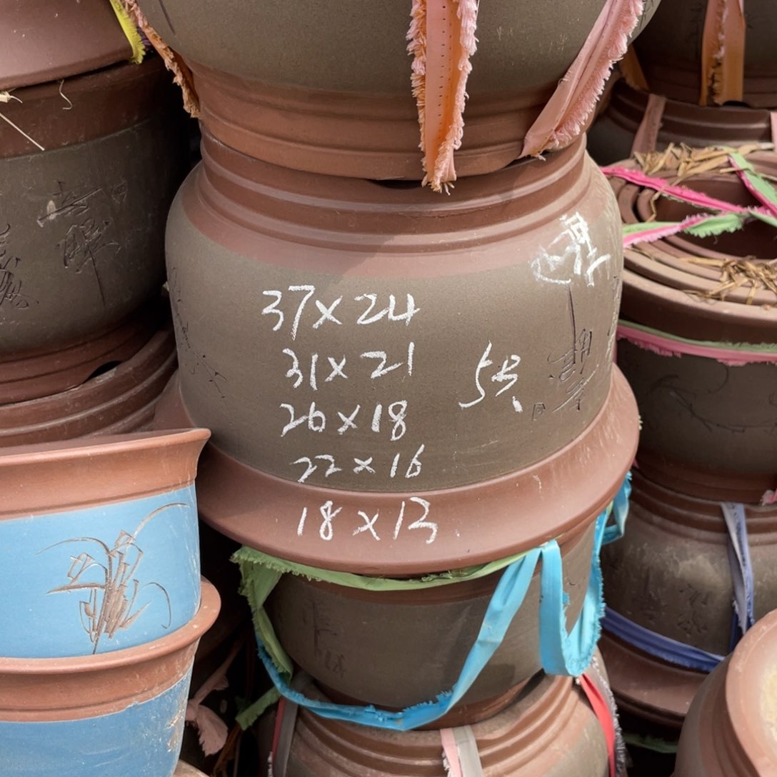 紫泥    一套五支