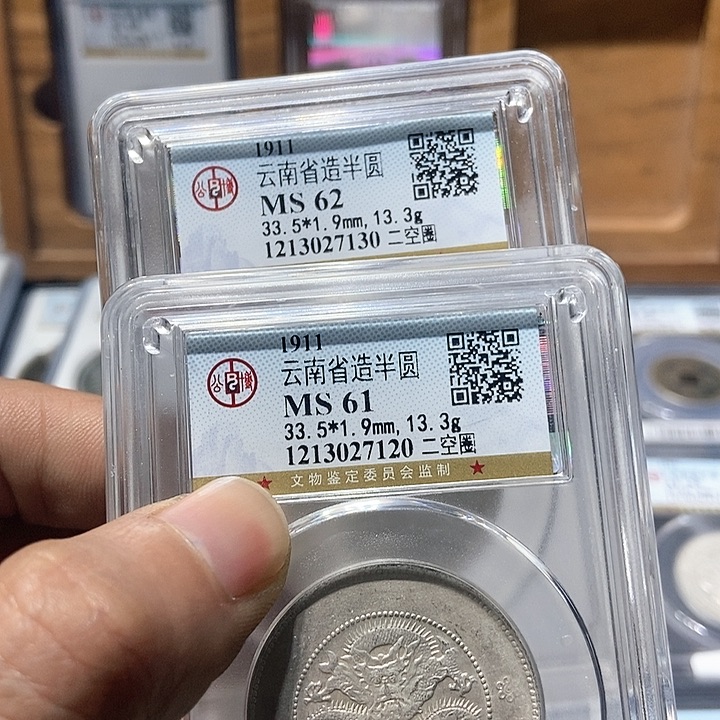 铜金****店董董精选云南半元龙61/62分两枚