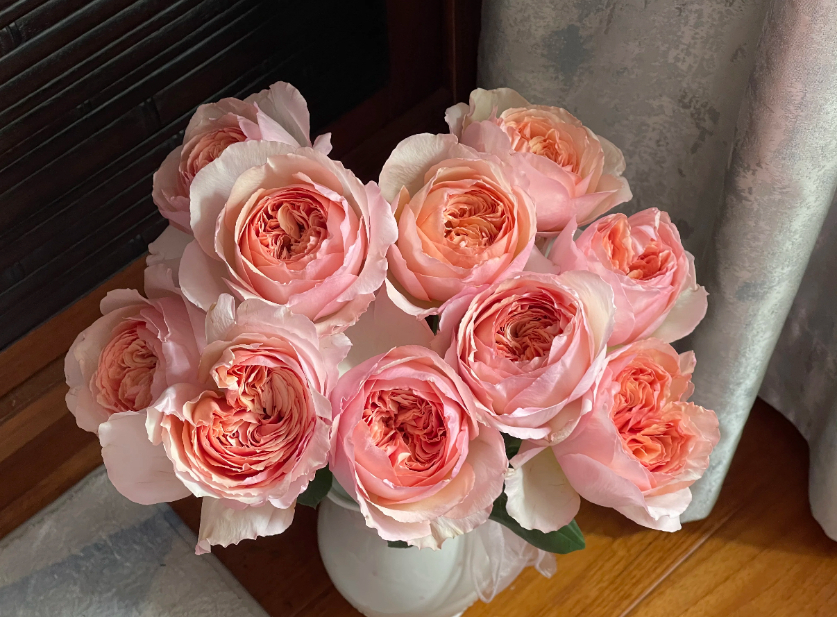 鲜花萨曼莎-单头玫瑰（任意两单包邮，一单需要补运费）