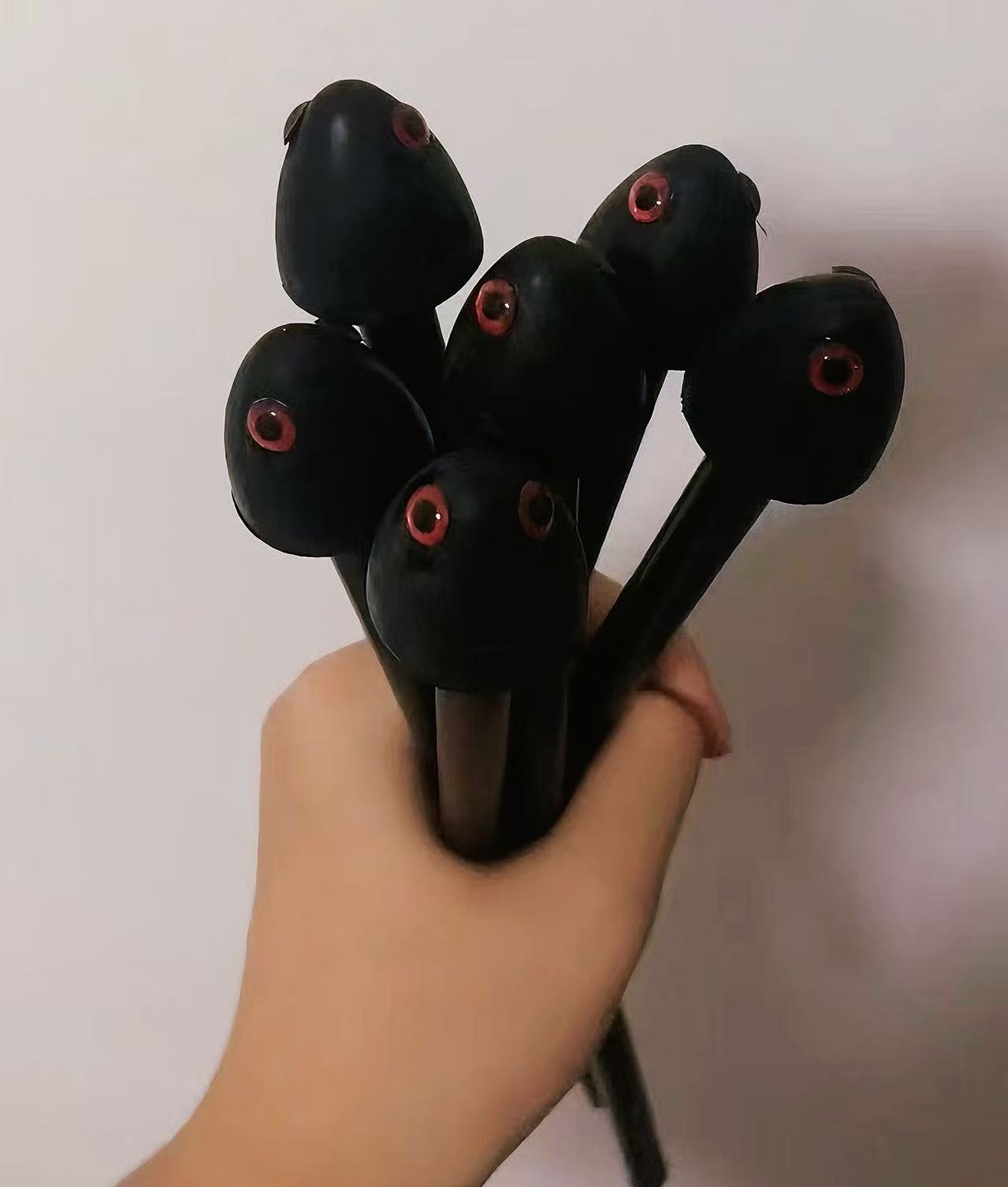 雷龙鱼专用训鱼棍(雷龙的互动神器)
