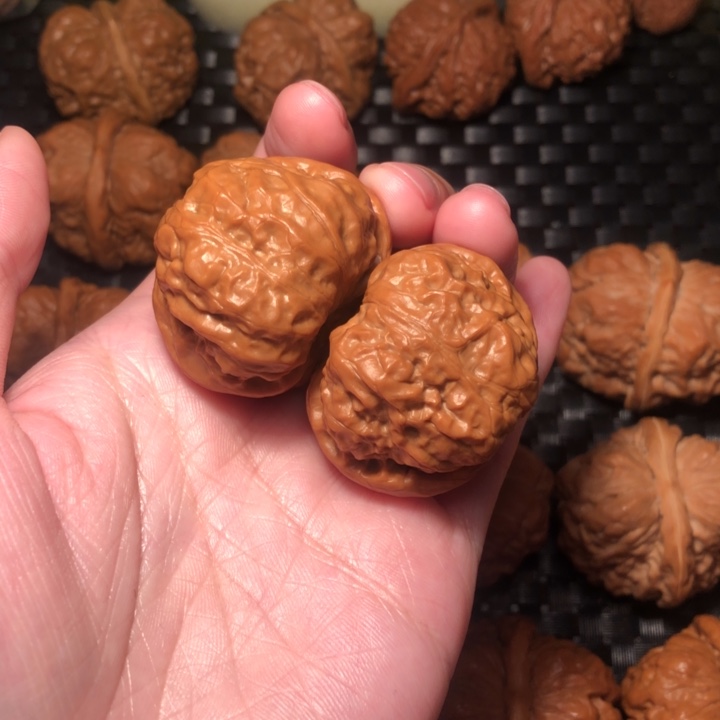 文玩核桃把件蛙饼40