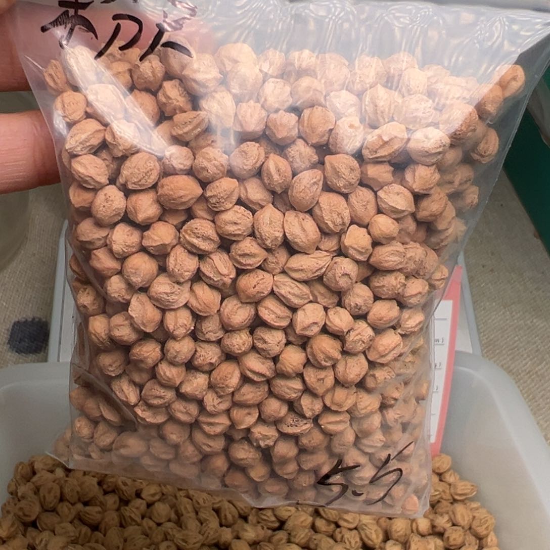 柏香籽/百香籽吊坠A****g