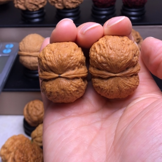 文玩核桃把件鹦鹉元宝15