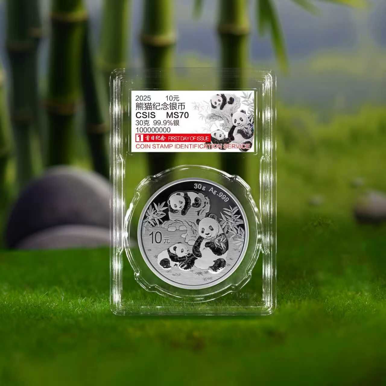 2025年熊猫30克普制银币单枚首日封