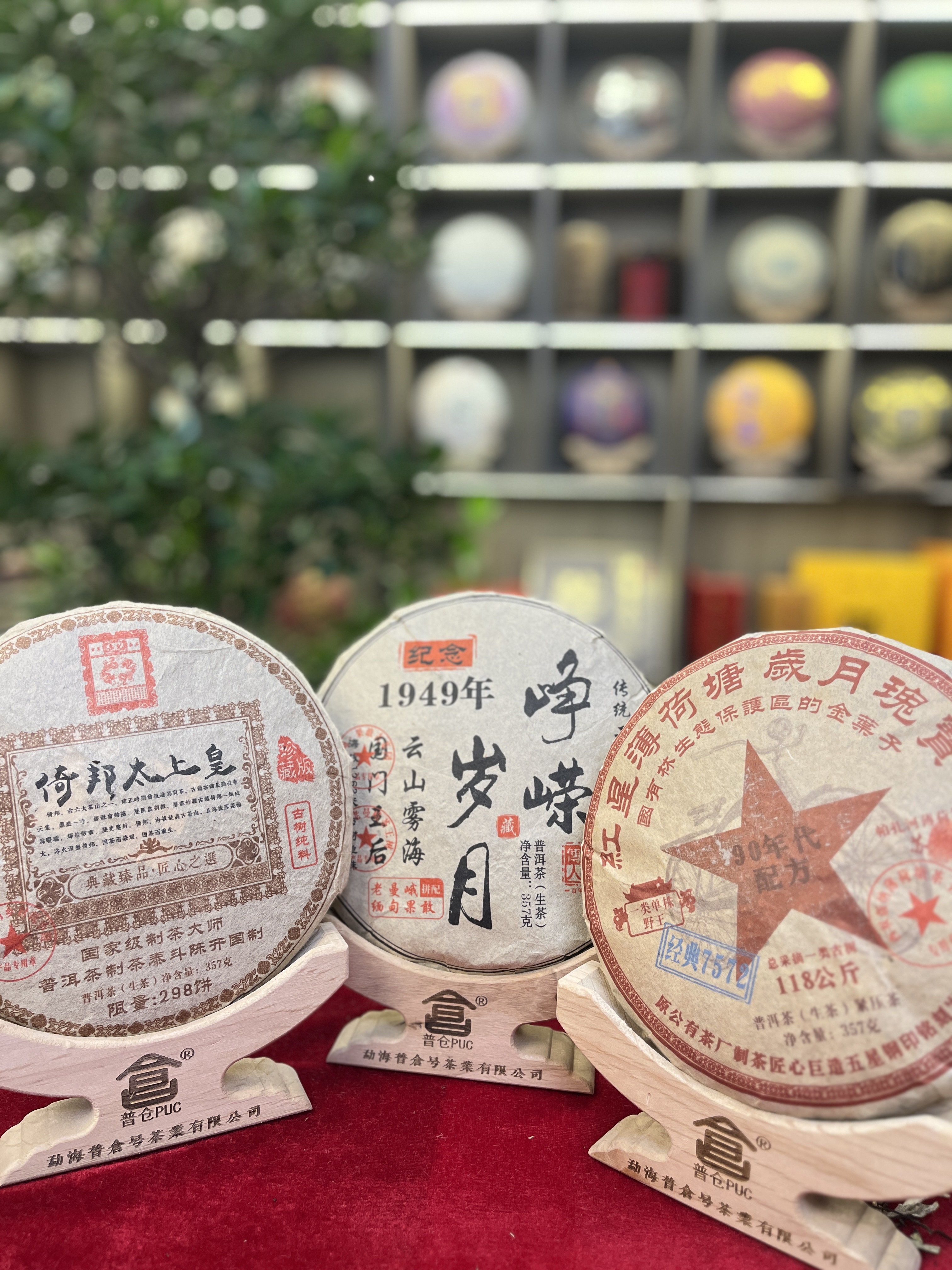 【小熊 精选生茶】薄荷塘组合  生茶 357克 