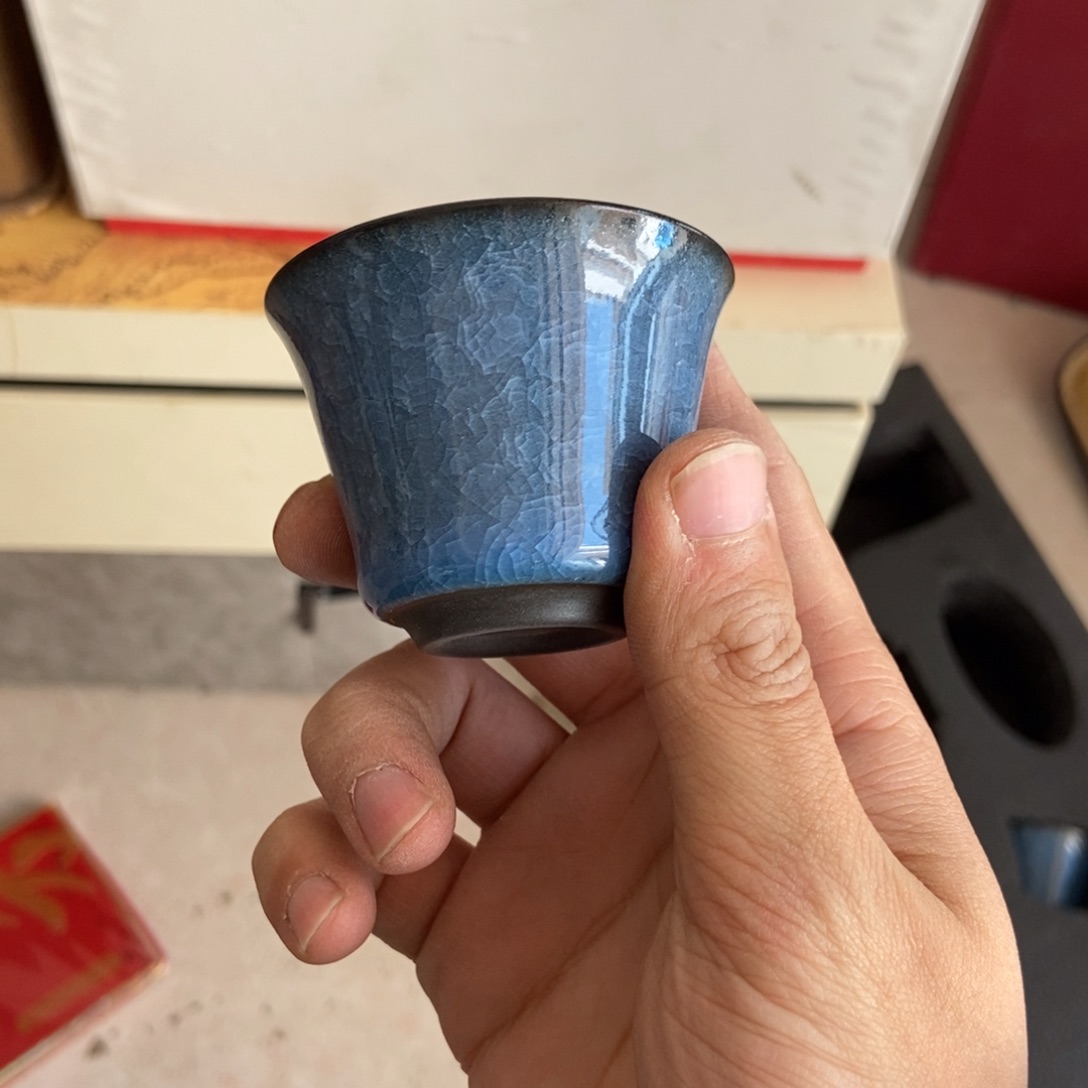 杯直播链接直播链接