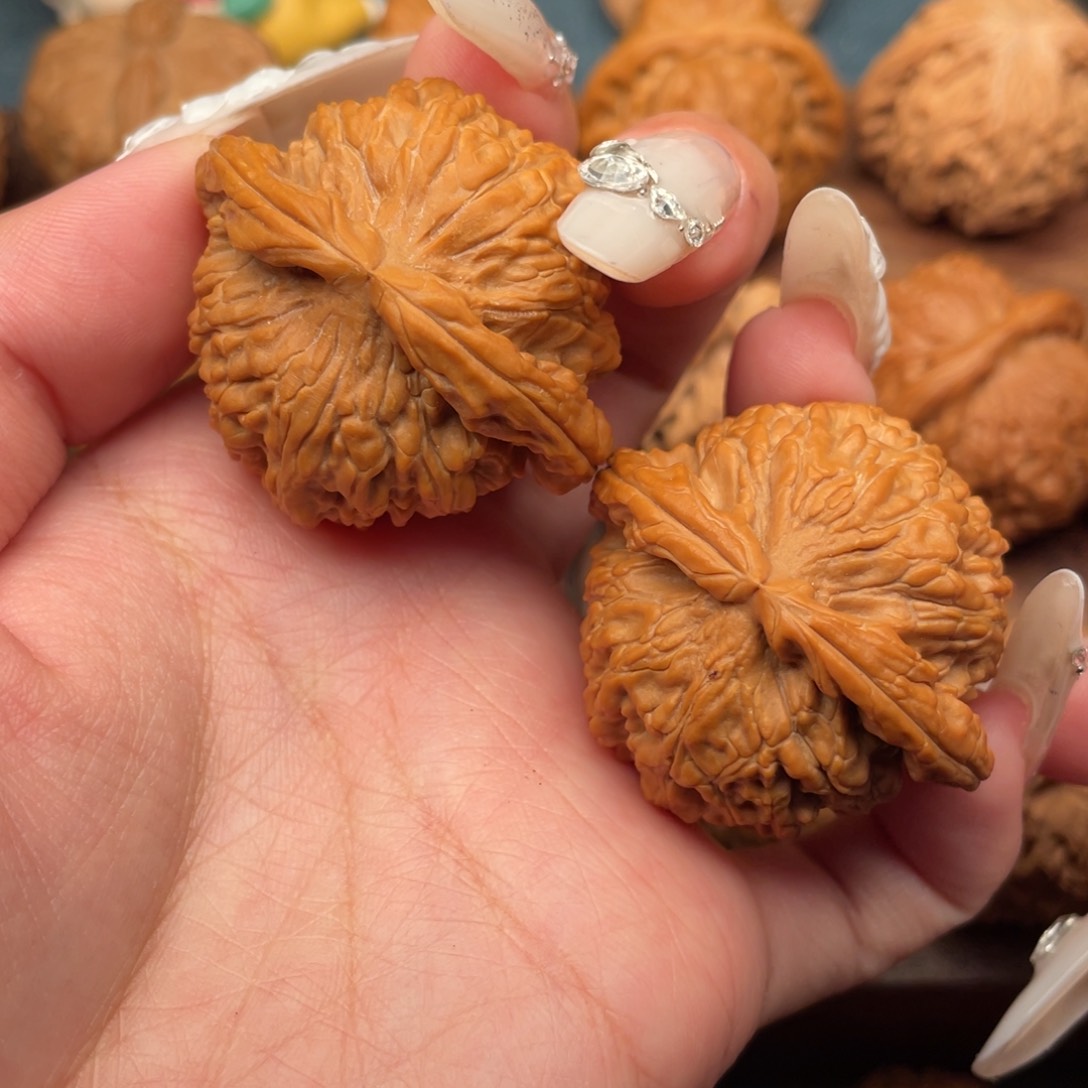 文玩核桃把件全品白狮子41，同树红皮