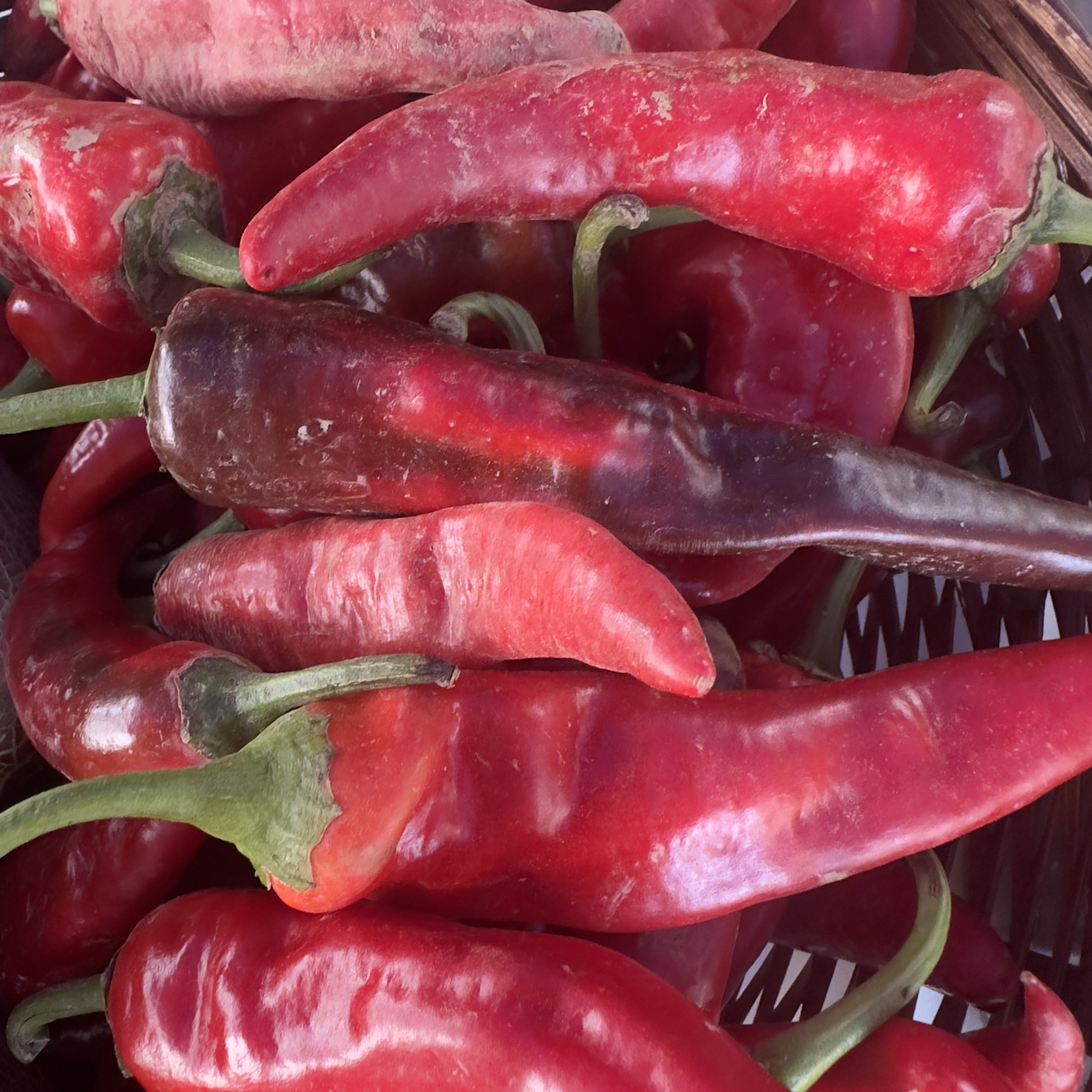 【代卖】神农架老乡自种 本地高山辣椒（省外顺丰，省内中通）