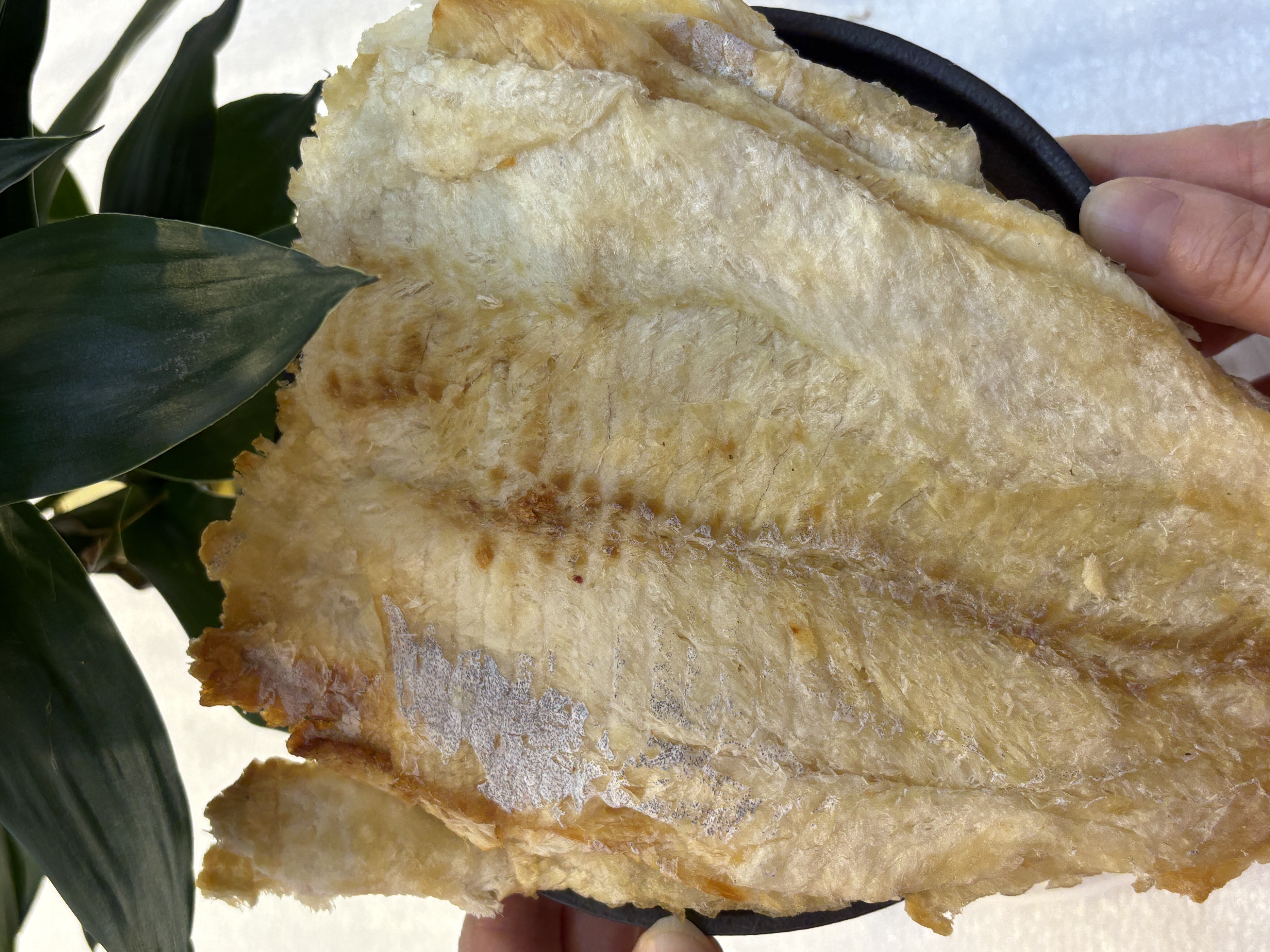 【散装现称现发】深海炭烤鳕鱼片开袋即食大连海味零食特产