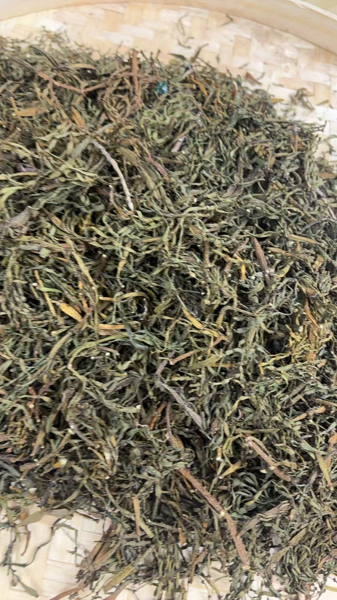 【pxj】2025年【茗雅】头春古树散茶