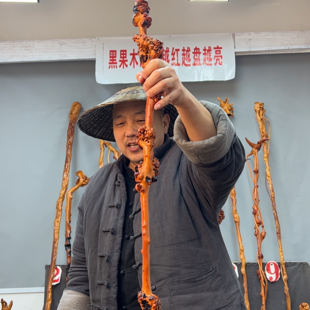 黑果木其他骚**哥黑果木082