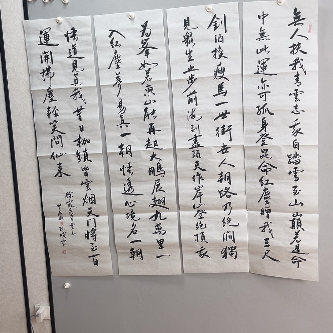 逸***物书法孙老师书法作品