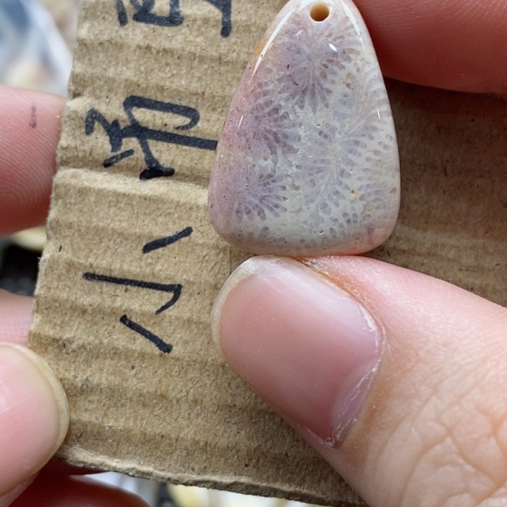 硅化珊瑚（珊瑚玉）颈饰未镶嵌冰**佬