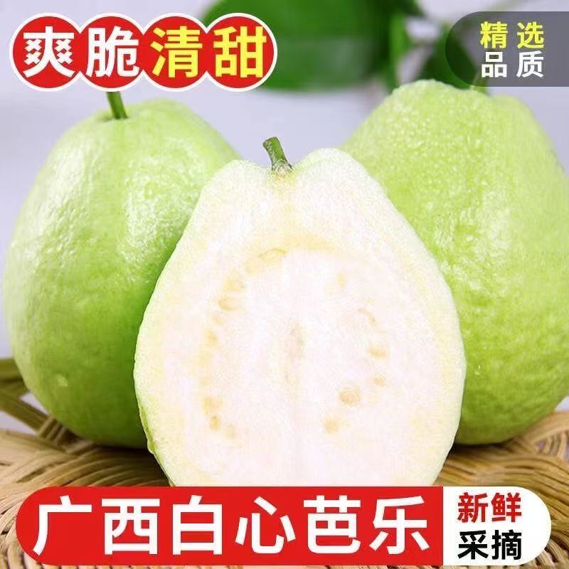 广西现摘白心芭乐脆番石榴新鲜当季包邮当季新鲜脆口水果香甜包邮