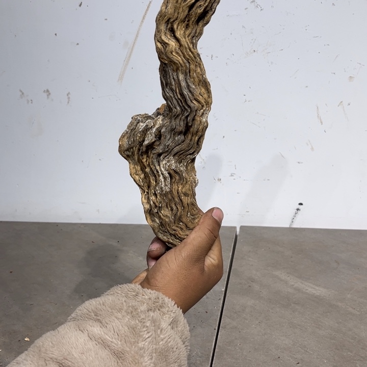 毛***哥柏木崖柏等自然资源和生态