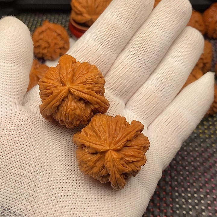 手串/手链核桃拼接白狮子5