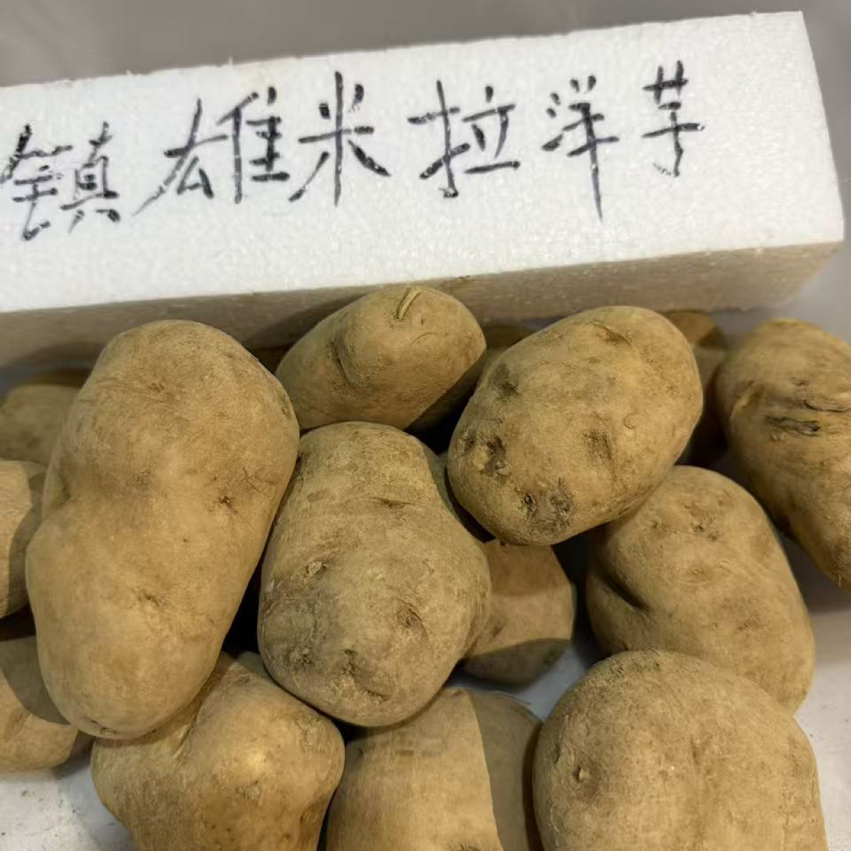 镇雄老品种米拉土豆洋芋新鲜黄皮黄心沙糯粉面土豆