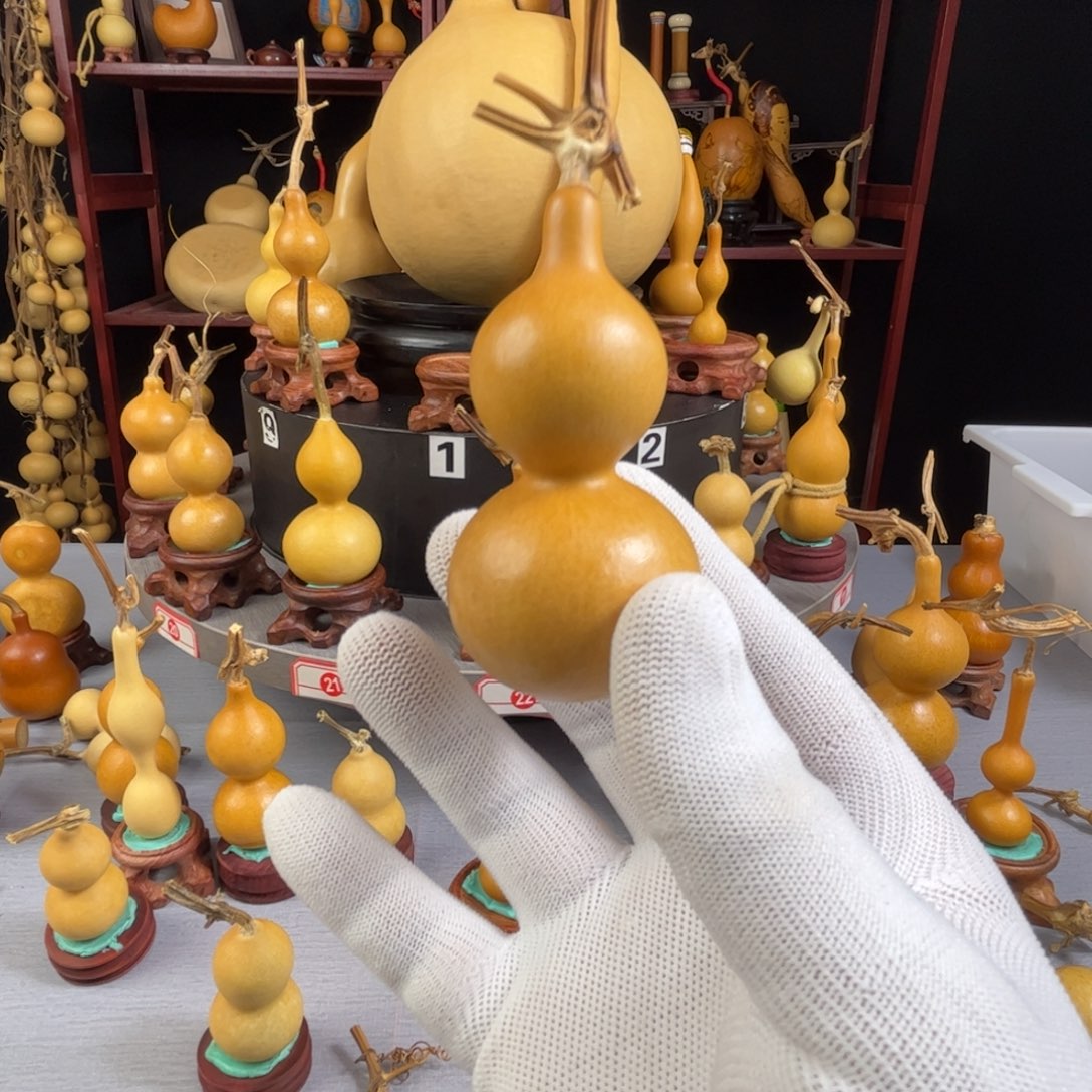 ▁***︶藤木我的小可爱，一点也不像个女孩