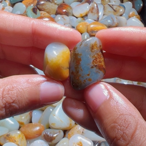 和田玉（糖玉）手链未镶嵌24