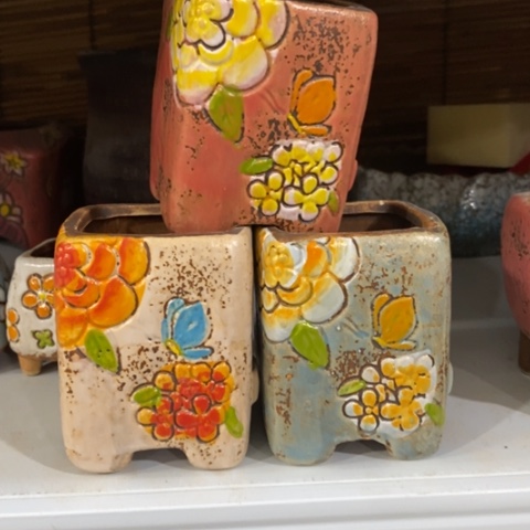 【闪购商品】红陶1