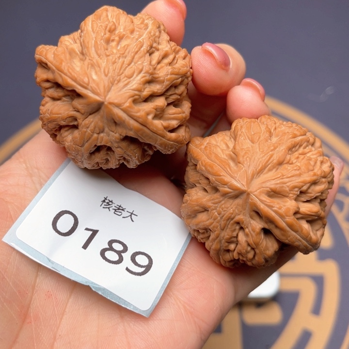 文玩核桃把件46大粗筋 0189