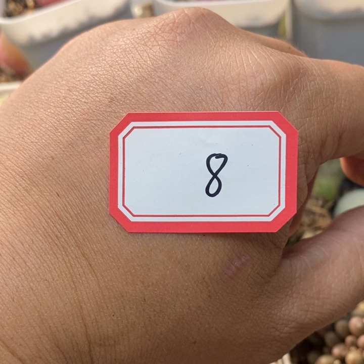 a***卡236699999999999999 09