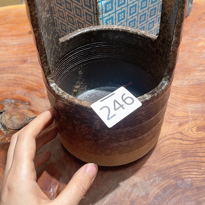 瓷片大美玲好物分享优选推荐