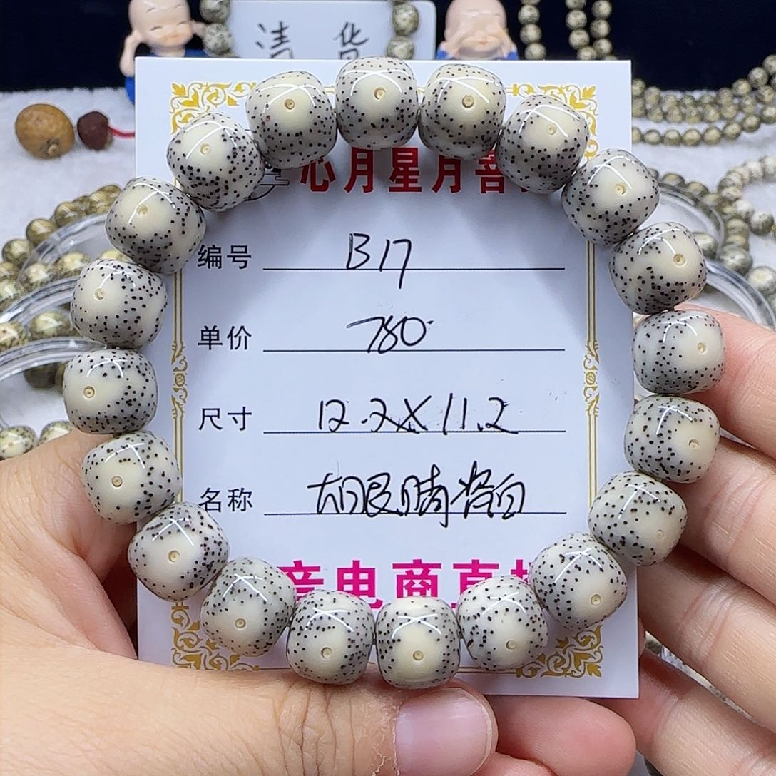 心月星月菩提一号B17