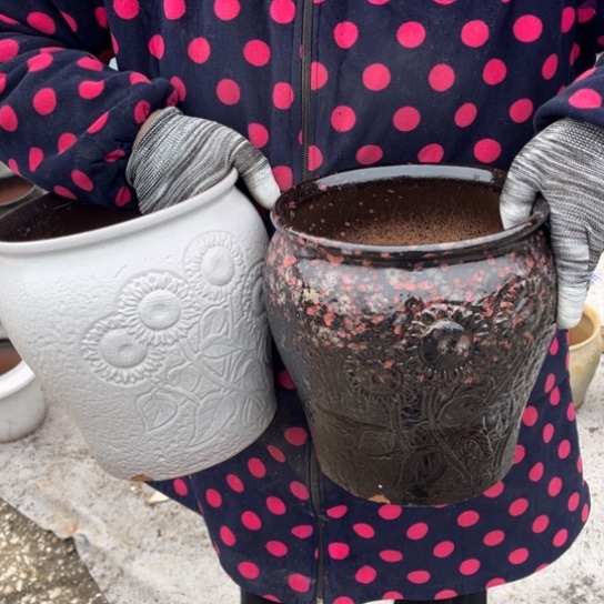 红陶口19高21瑕疵