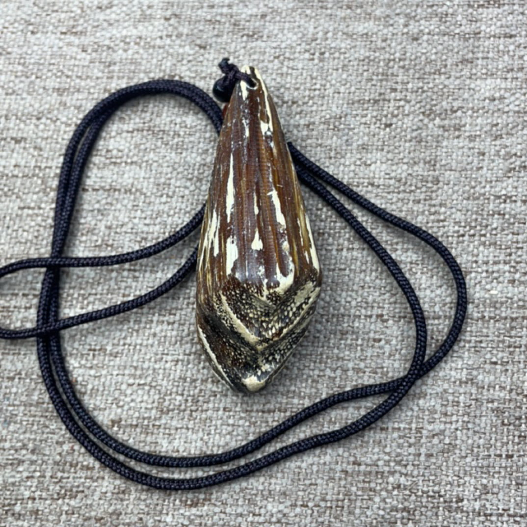 【阿坤文玩】甄选文玩 45