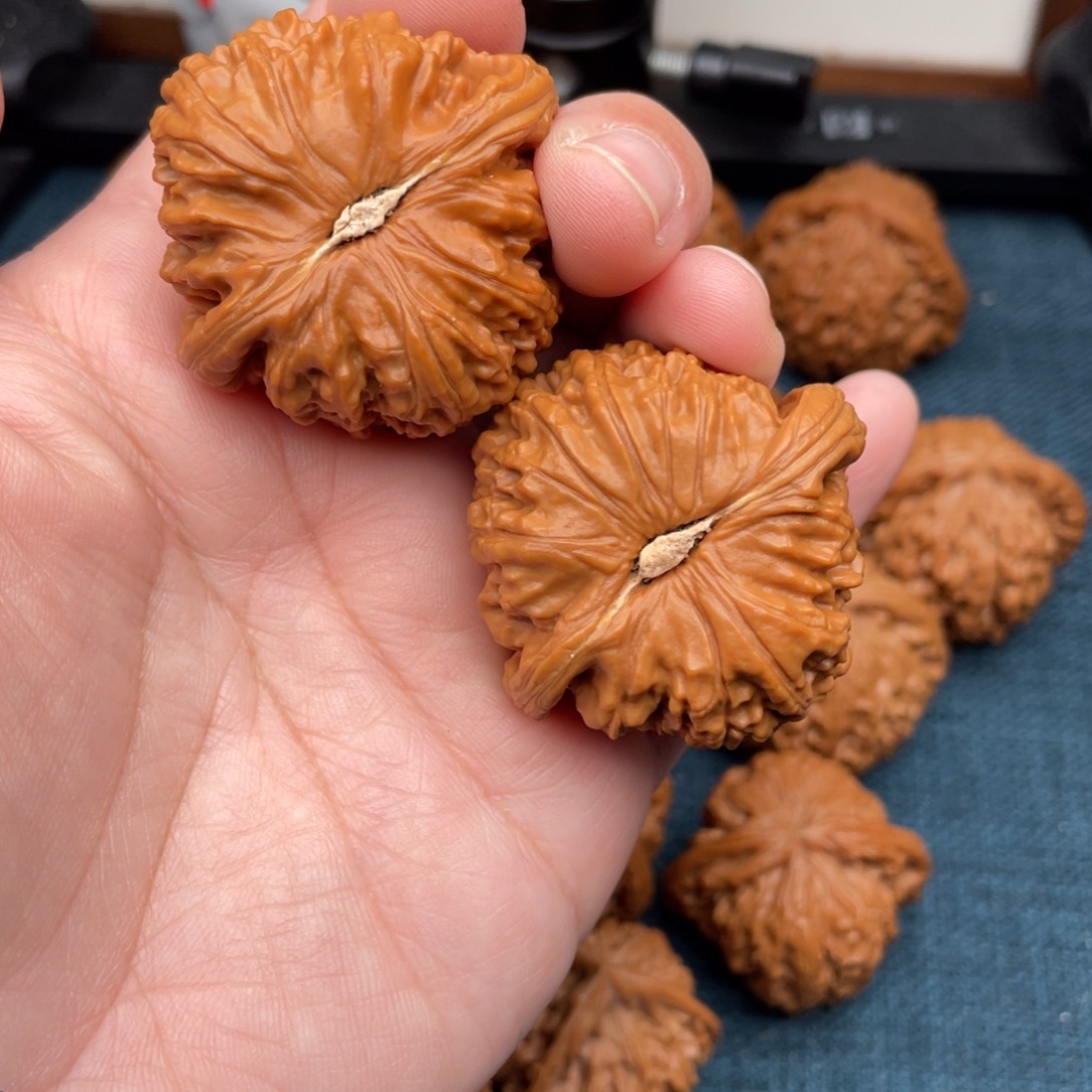 z***侠把件文玩核桃白狮子43