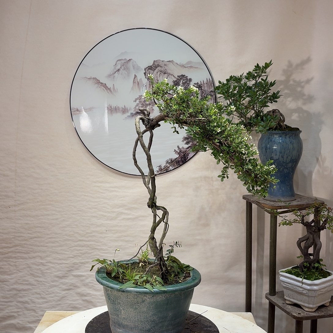 完全开放Aaaaaaaa 