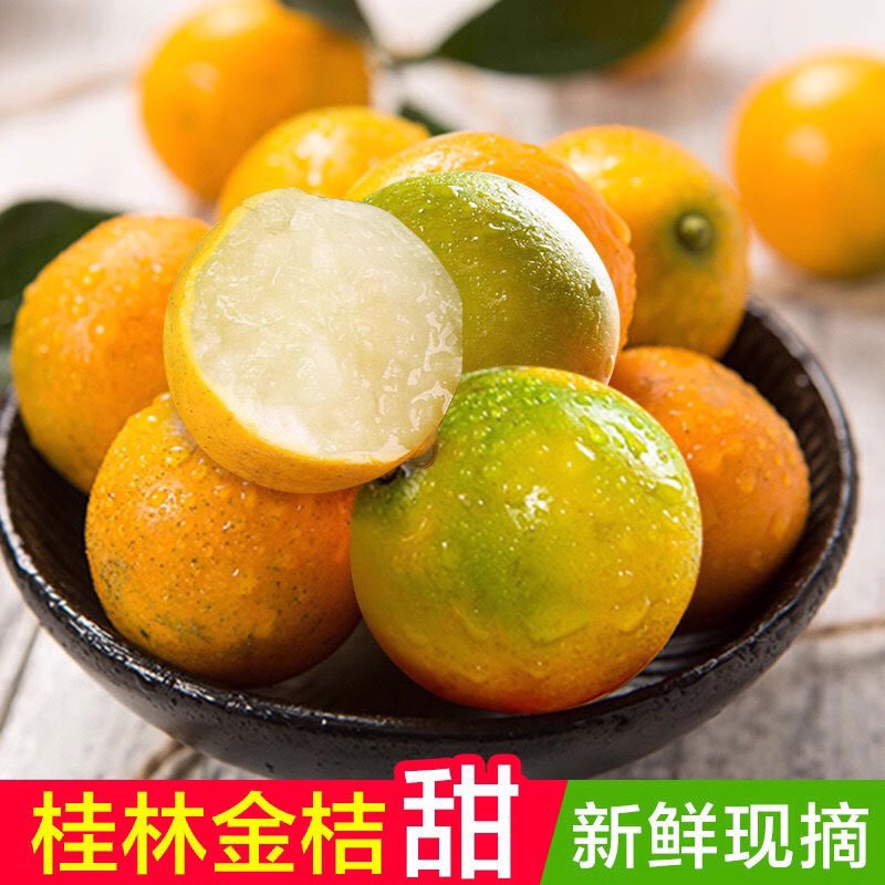 正宗第二代脆皮金桔新鲜现摘当季水果包邮发货