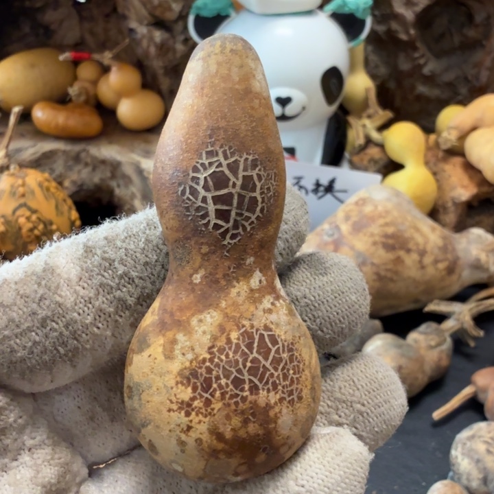 毛***羿666666666667777Yyy