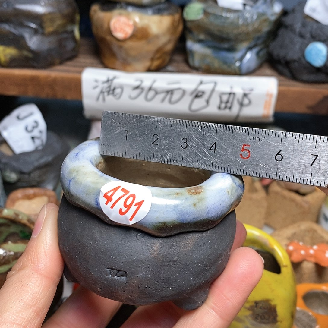 红陶拍5送一个小