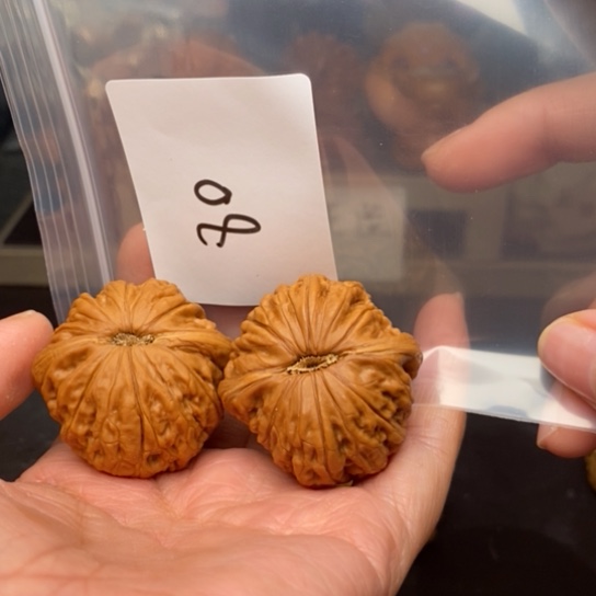 桃核吊坠孤*80铁锤妹妹