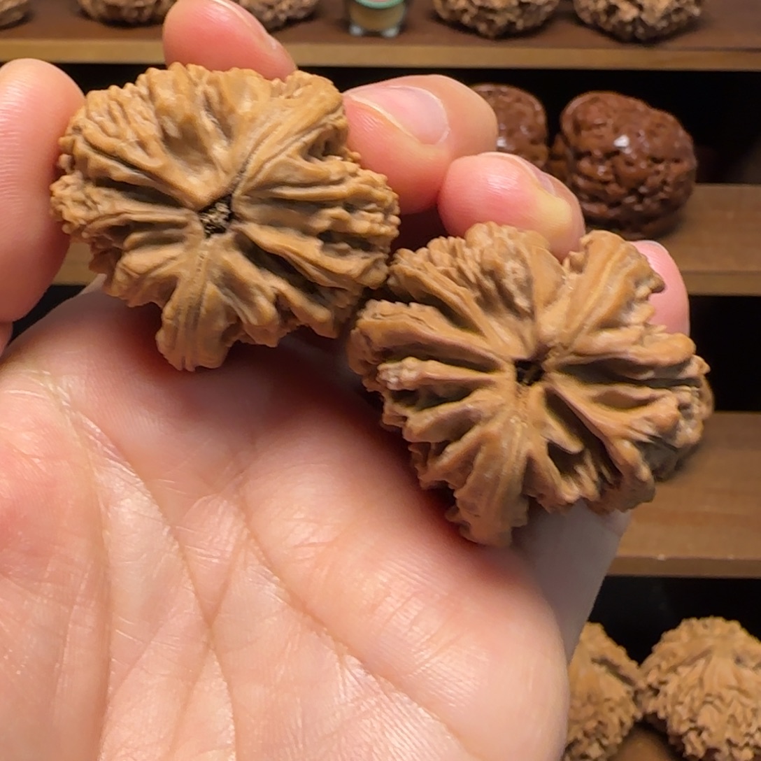 吊坠文玩核桃南将石狮子头