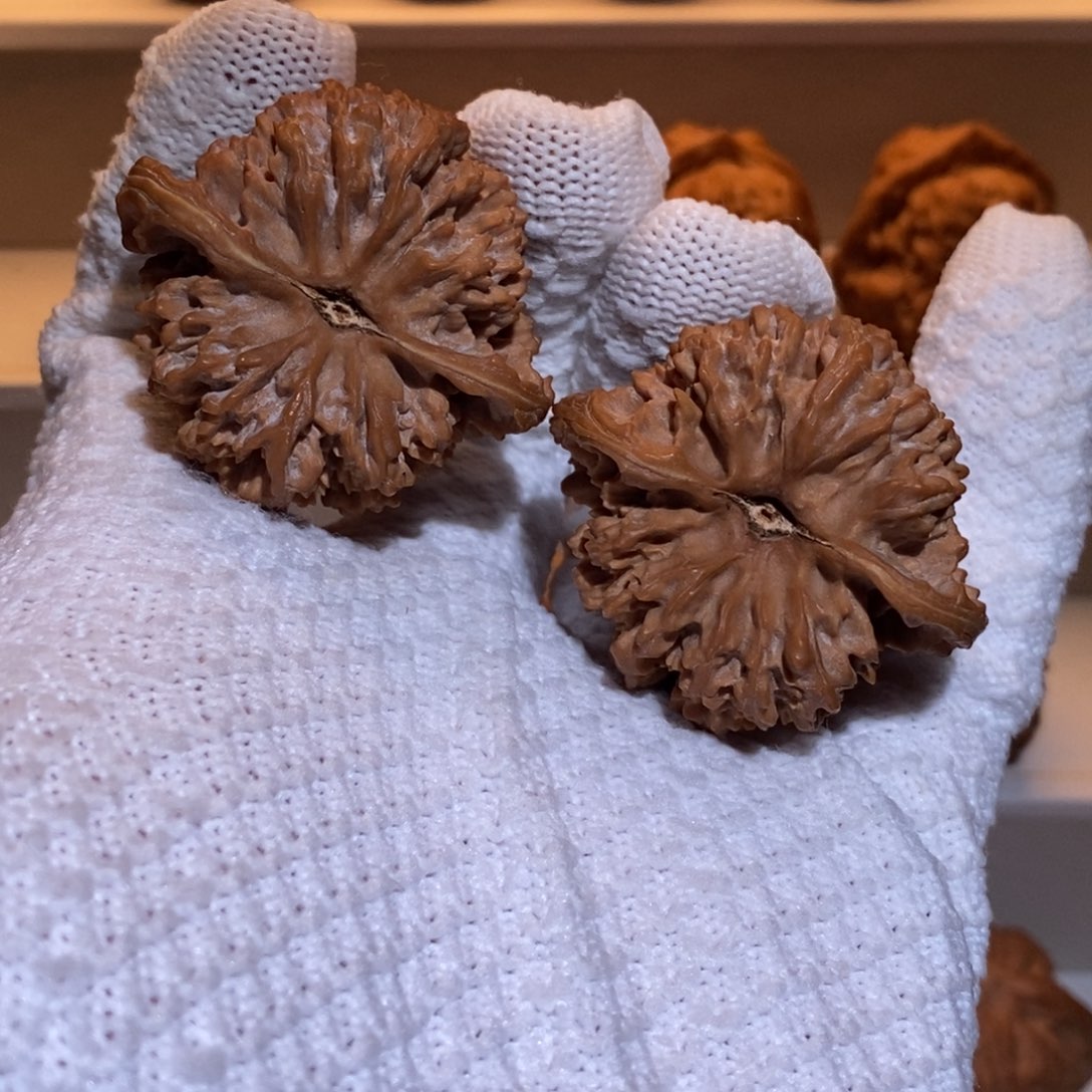 44尺 全品无修白茬 满天星